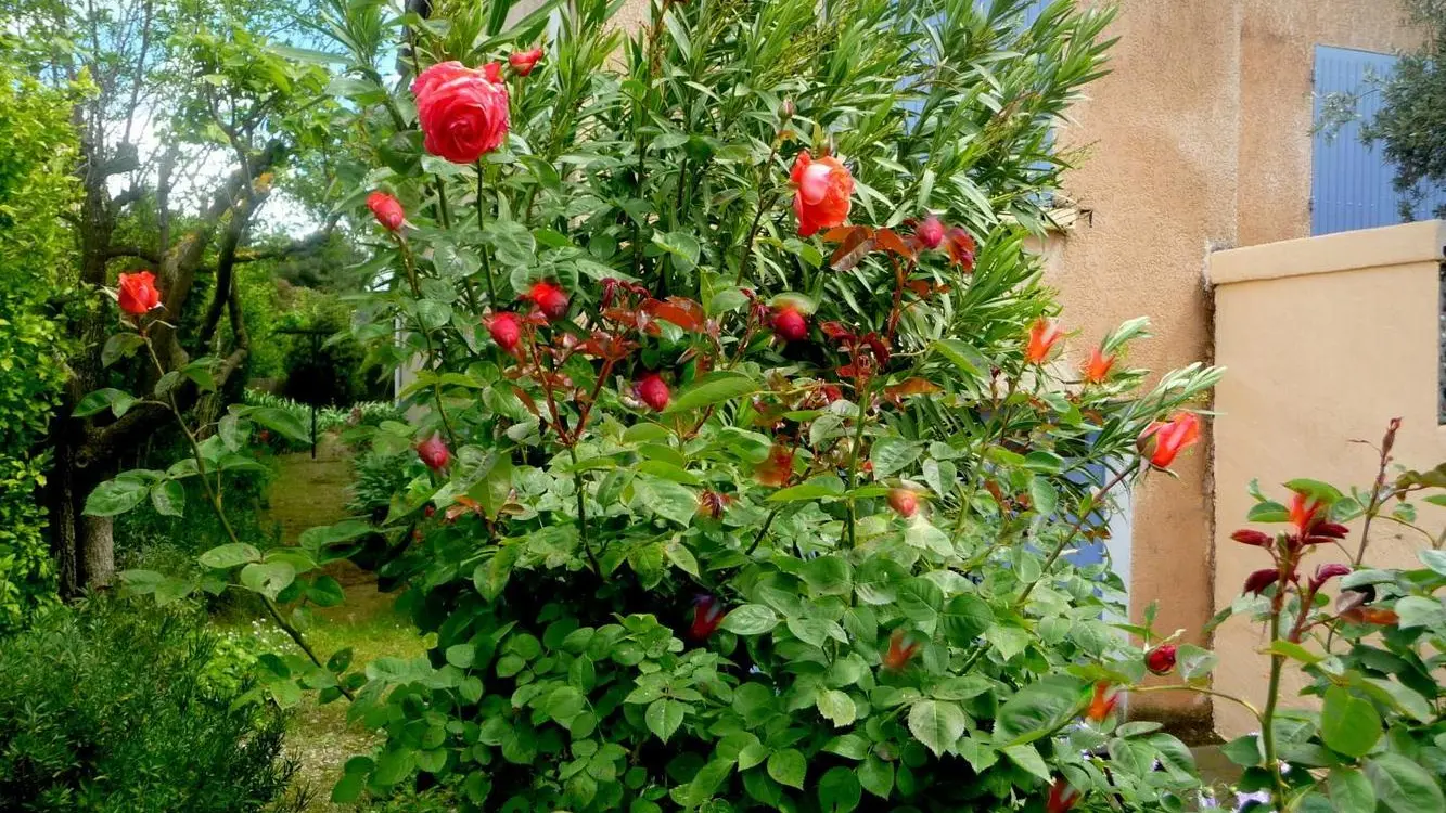 jardin NORD