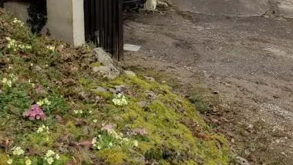 carport et garage privés