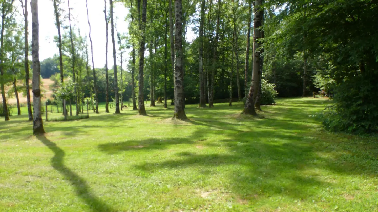 Bois dégagé, entretenu et accessible pour des pique-niques ombragés en plein été.