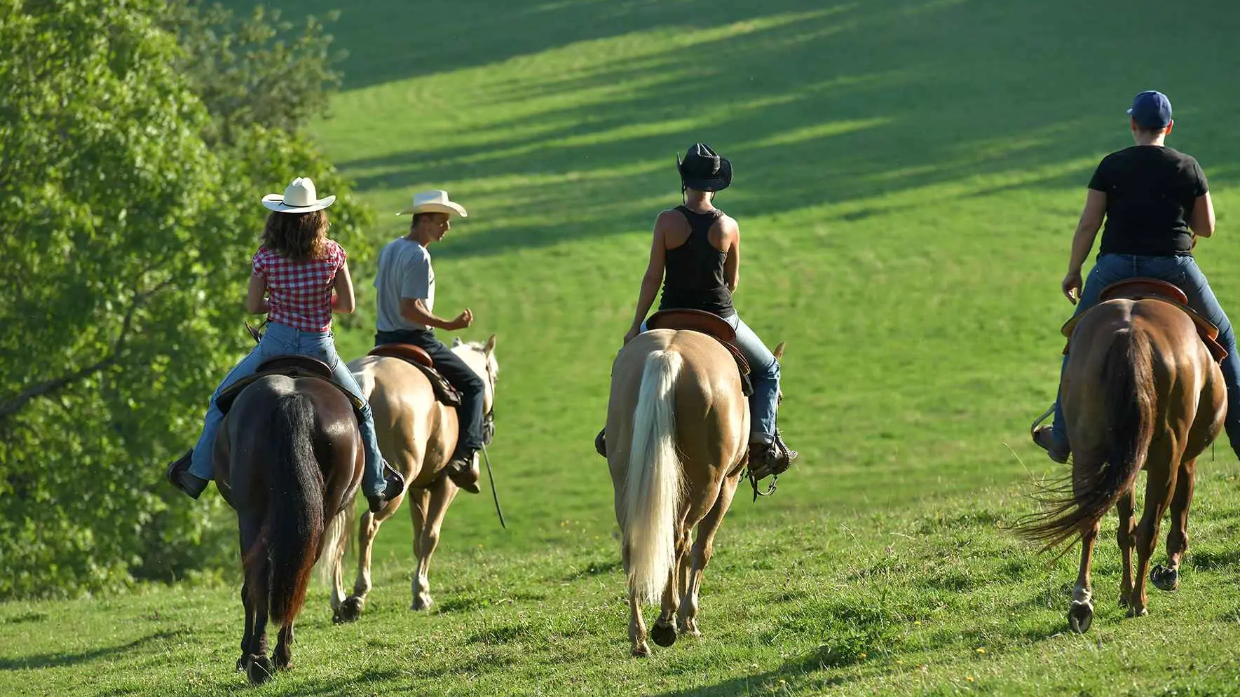 Randonnée équestre à Arronnes
