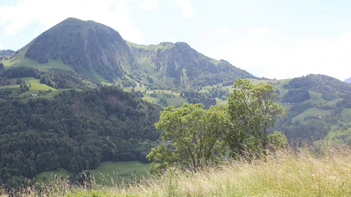 VU DEPUIS LE GITE (LE SULENS)