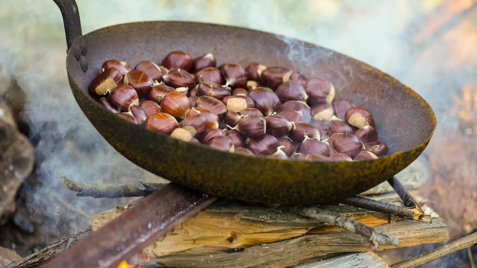 Chataigneraie Godissard à Collobrières