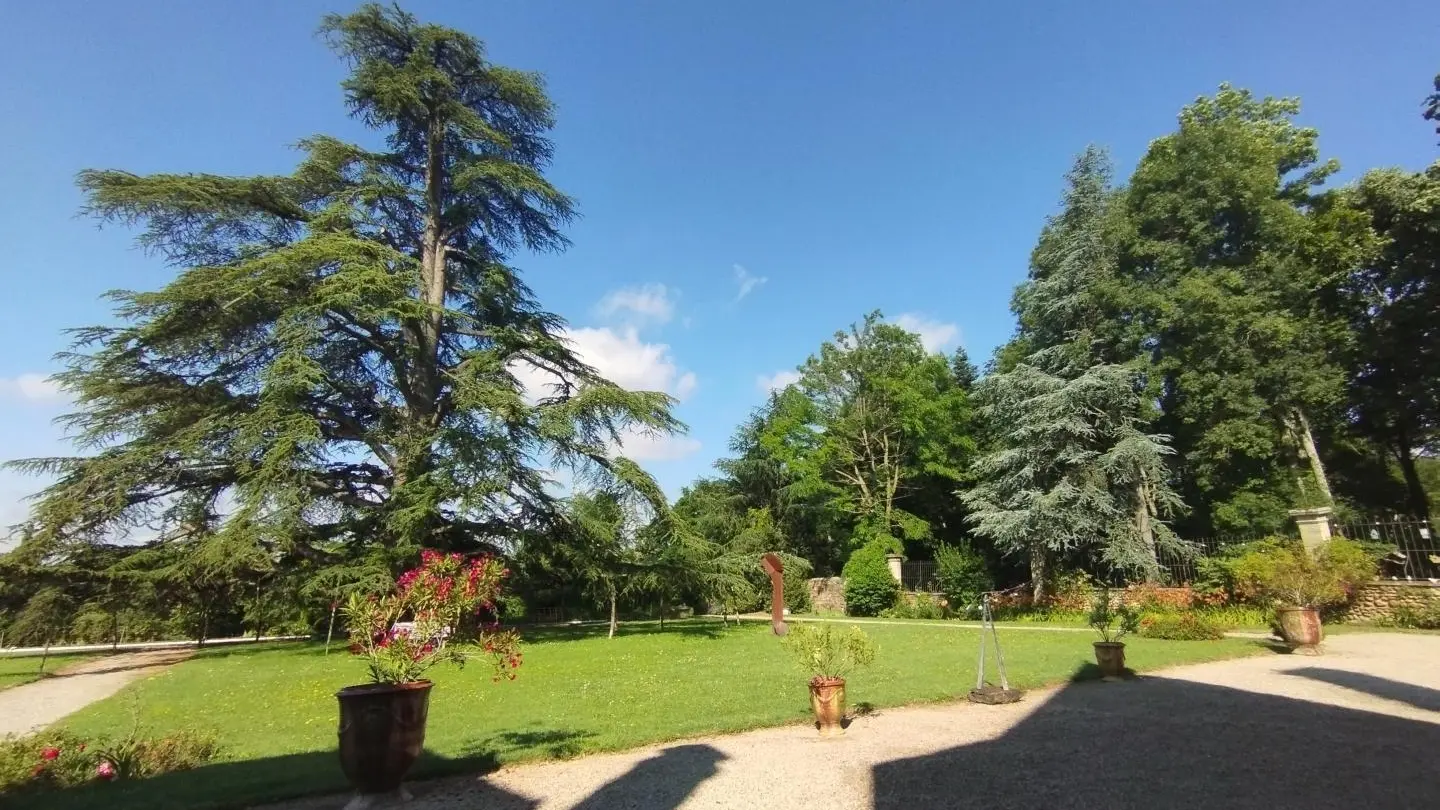 Accès libre au parc du château, clos, 1 hectare. Espace commun