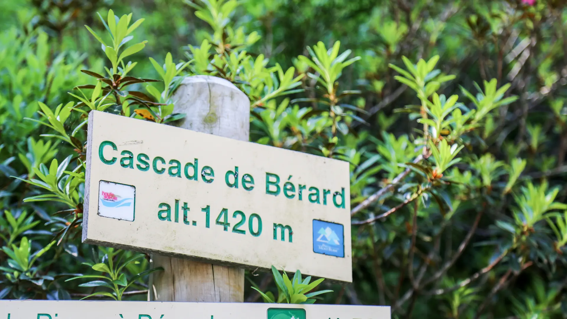 Berard
