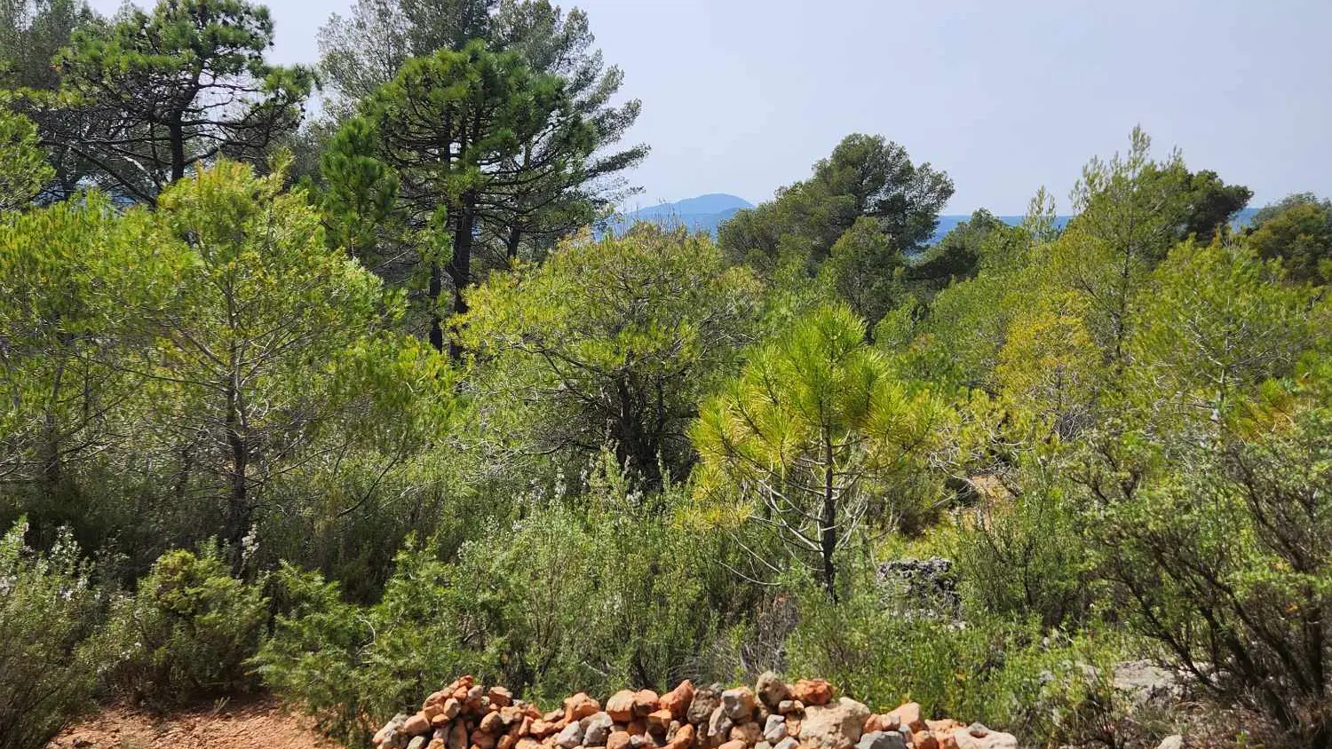 Boucle du domaine Saint-Jean de Villecroze_Villecroze