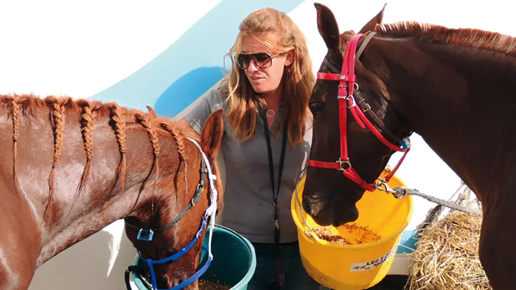 Centre équestre Les Ecuries de Cadillan à Graveson