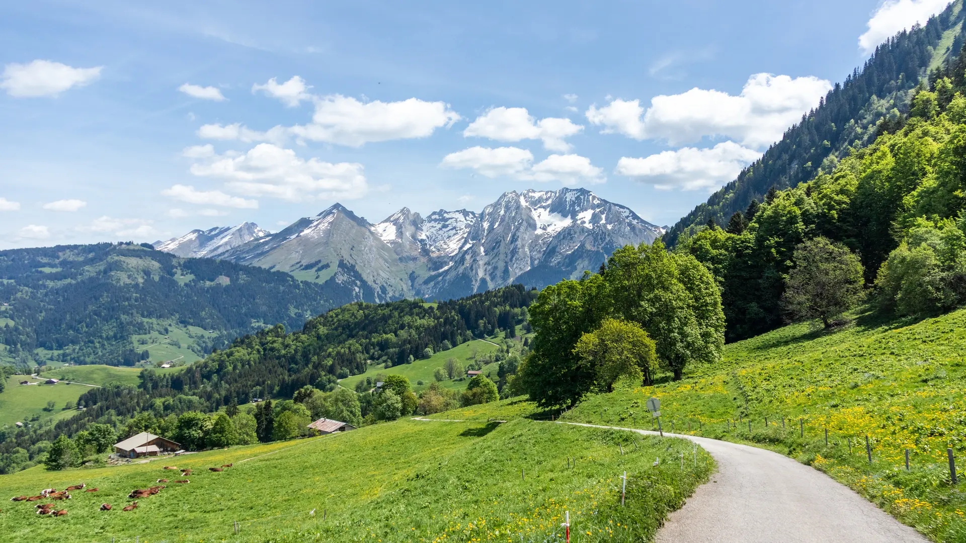 Sentier pédestre et VTT sur la montagne de Sulens