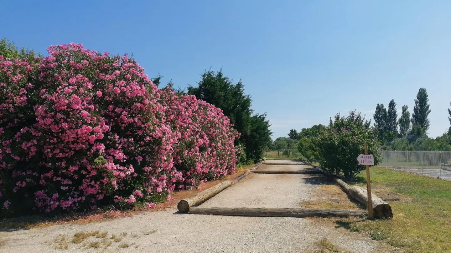 Terrains de pétanque