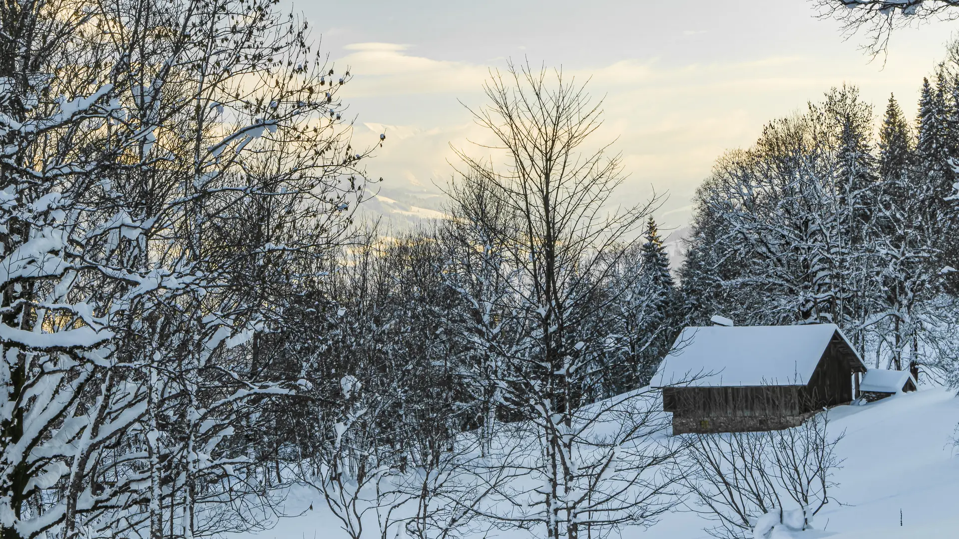 chalets au Déramey