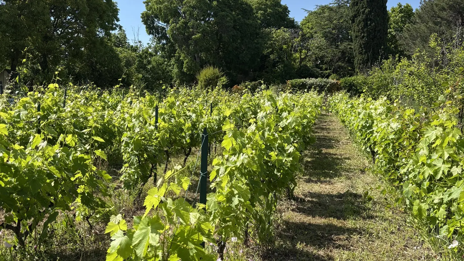 Bastide Marin_La Ciotat