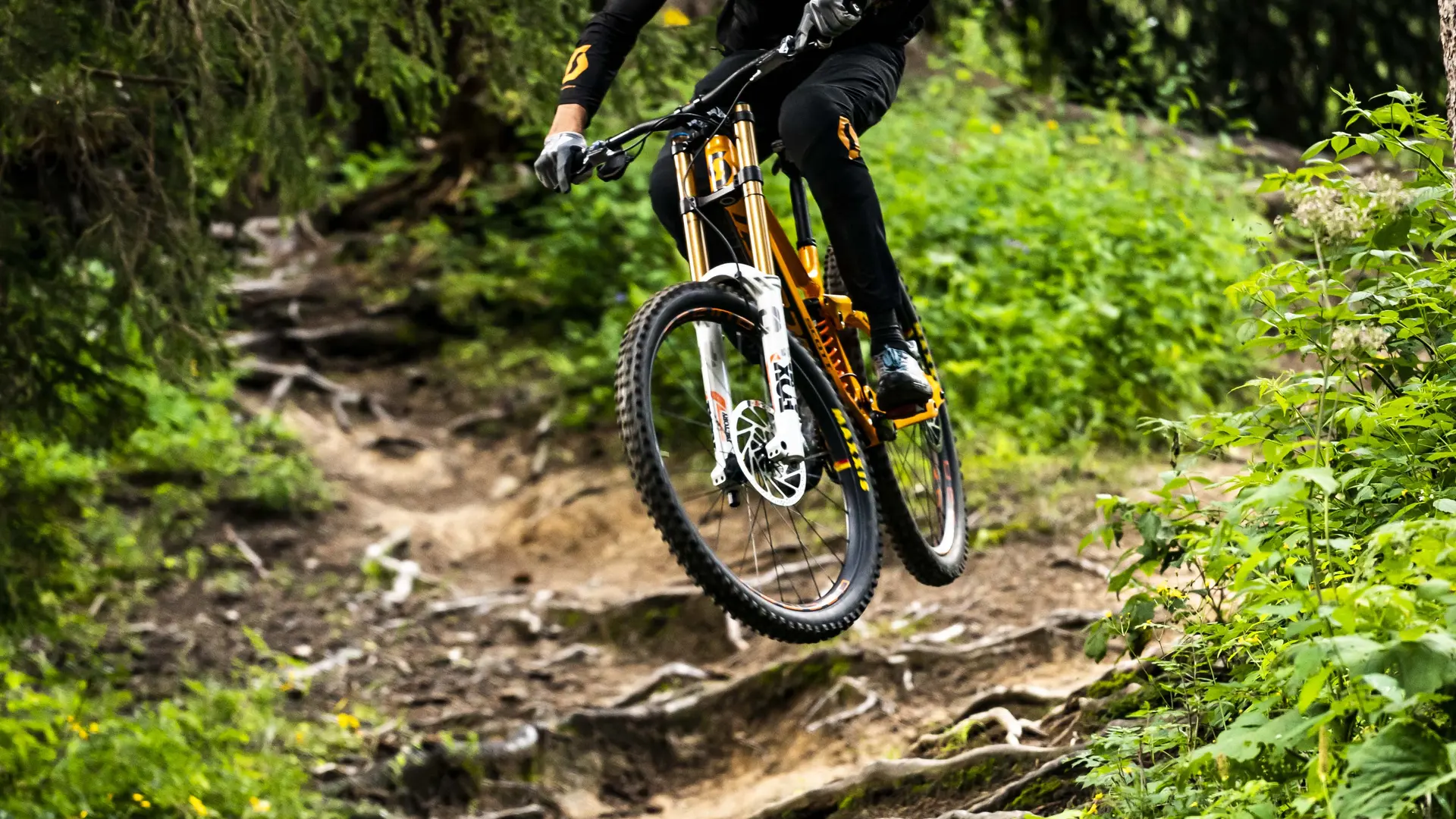 Piste VTT la Bike Patrol