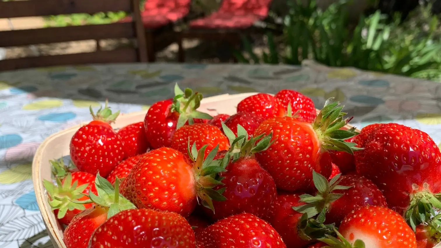 Aperitif en terrasse