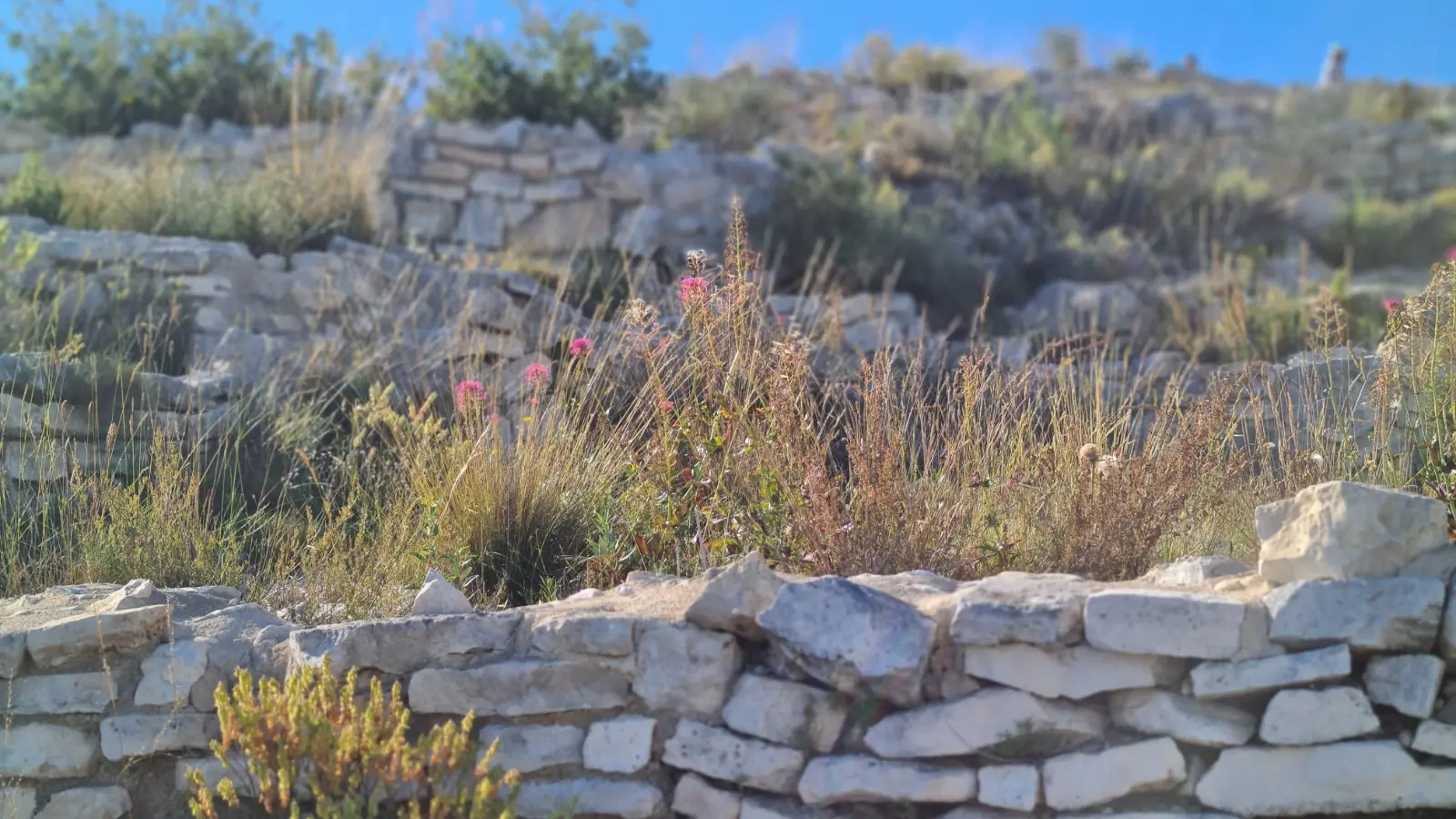 murs en pierres sèches