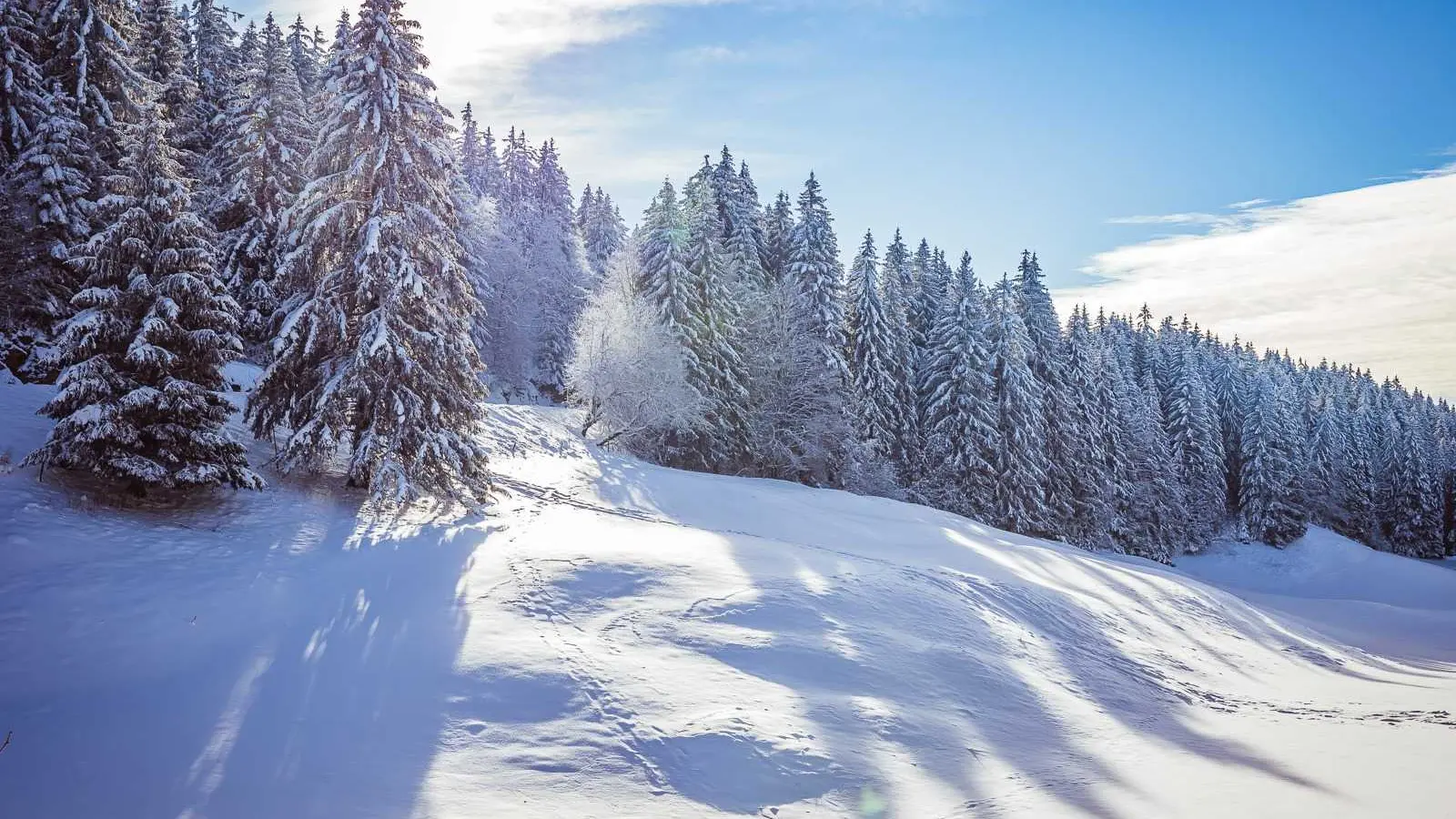 Proche du Plateau de Retord