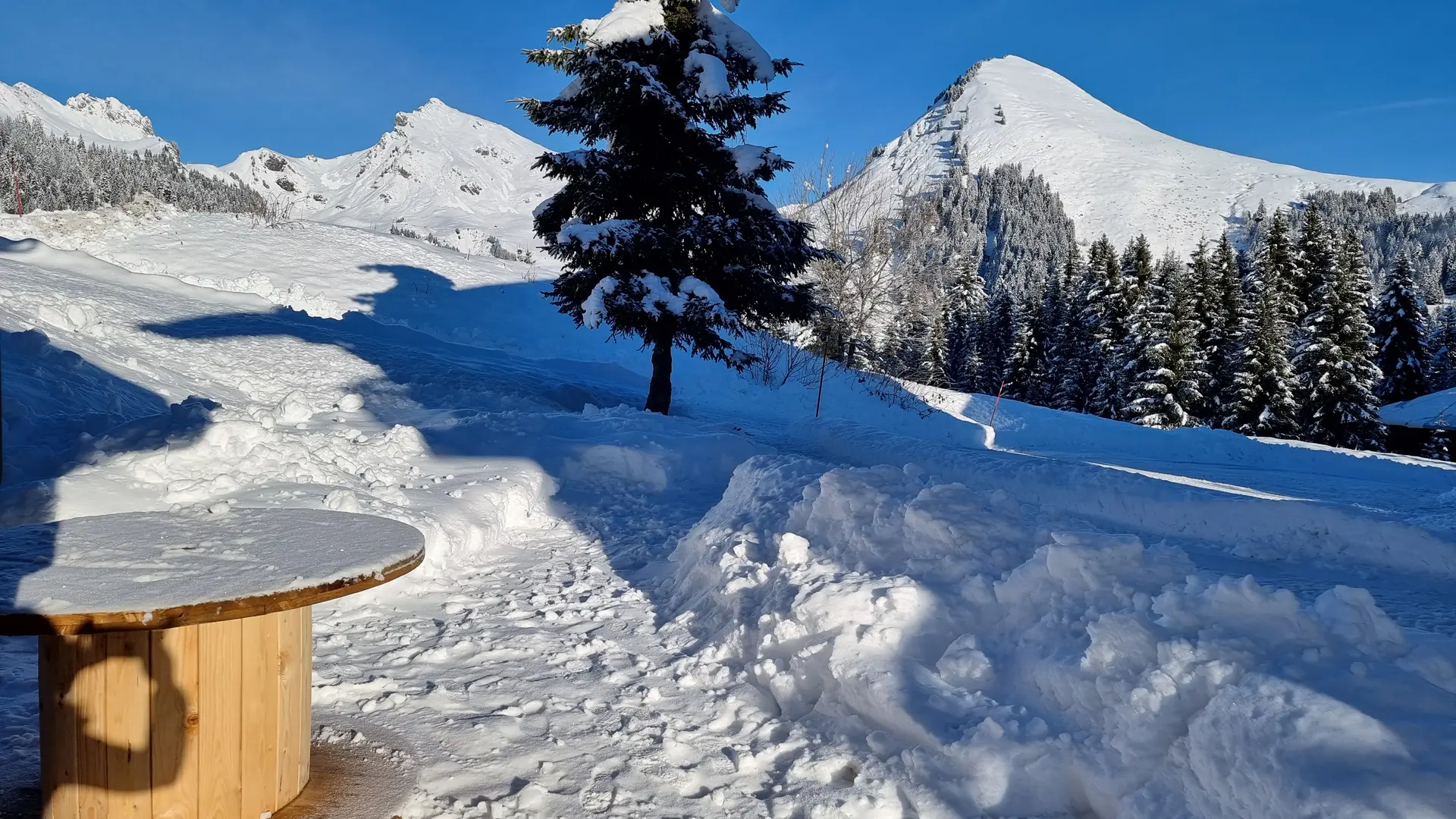 Chalet Les Carlines
