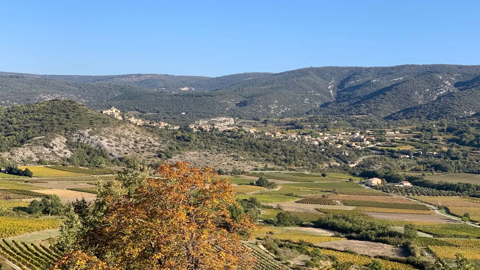 Méthamis vignes et paysage