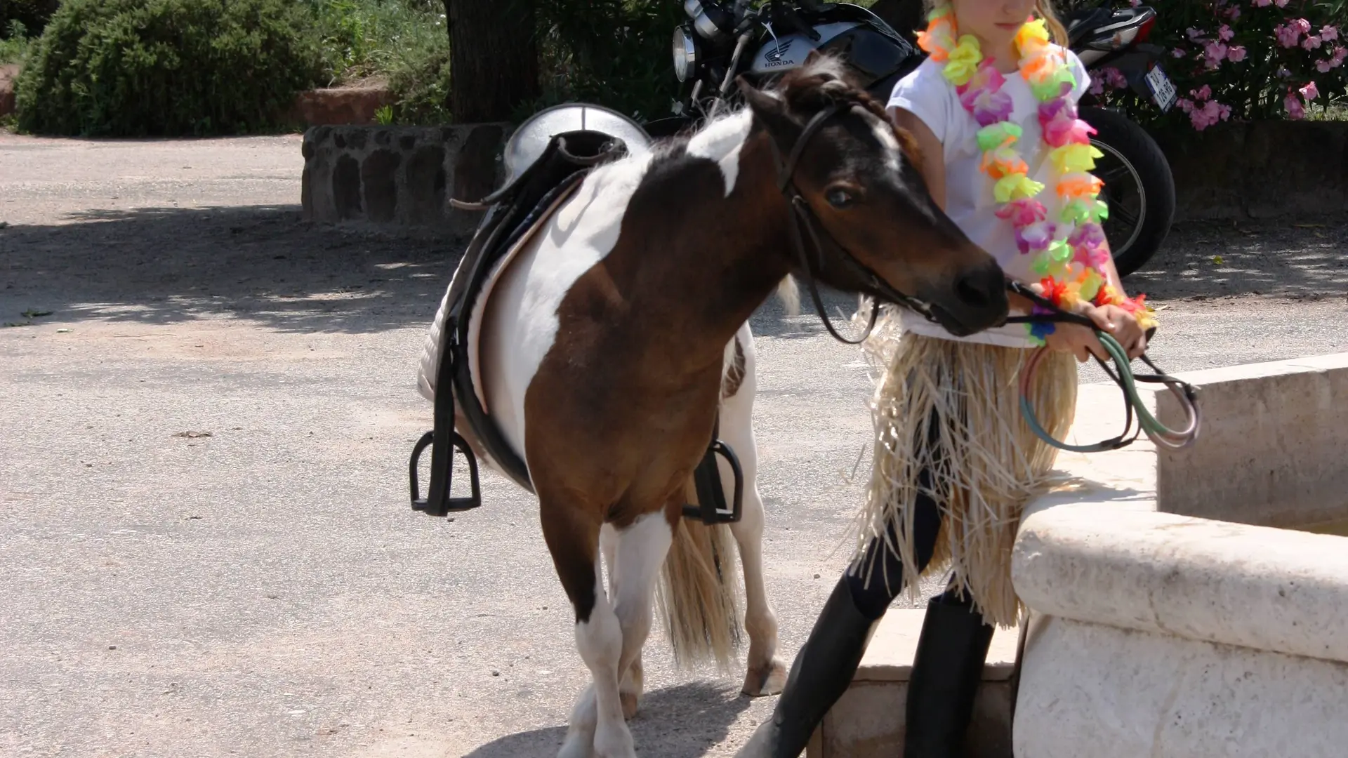 Domaine Equestre des Grands Pins