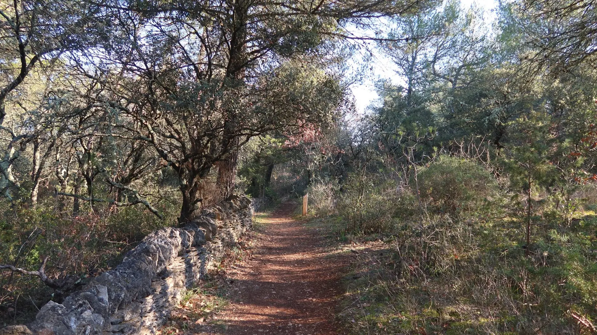 Sur le sentier botanique des Beaumettes