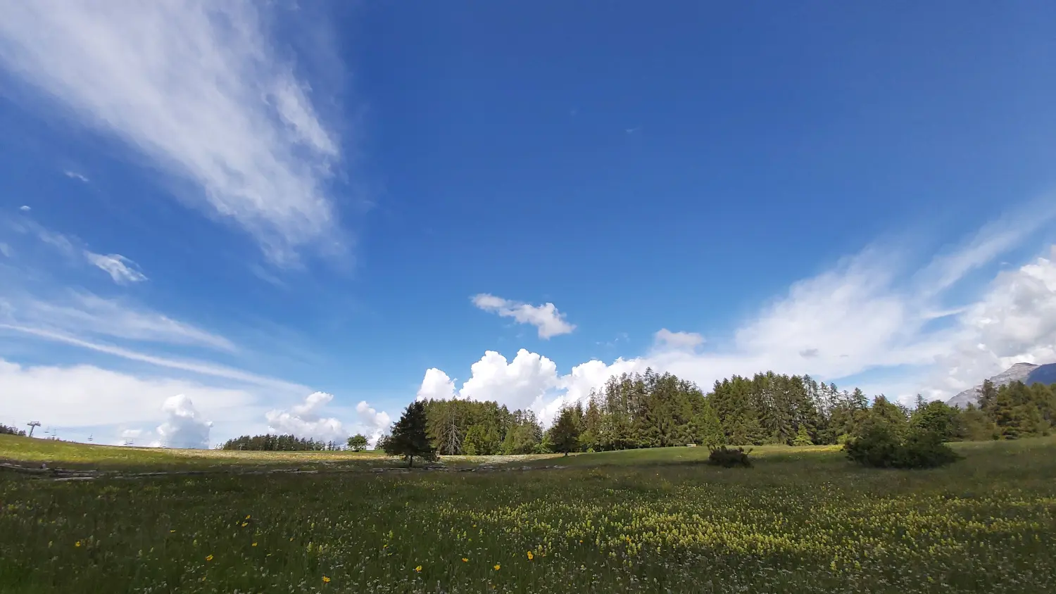 Plateau de Libouze, St Léger-les-Mélèzes