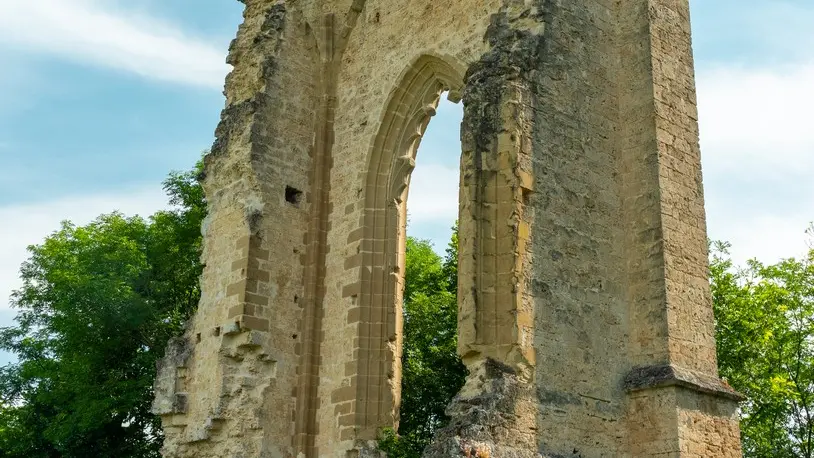 Vestiges de la chapelle castrale - Beauvoir en Royans
