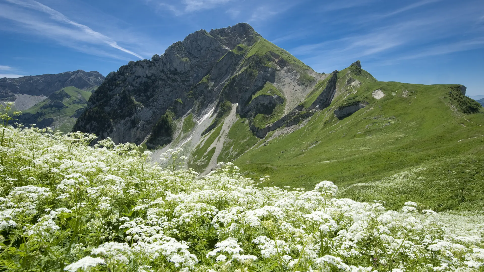 Le mont Trélod