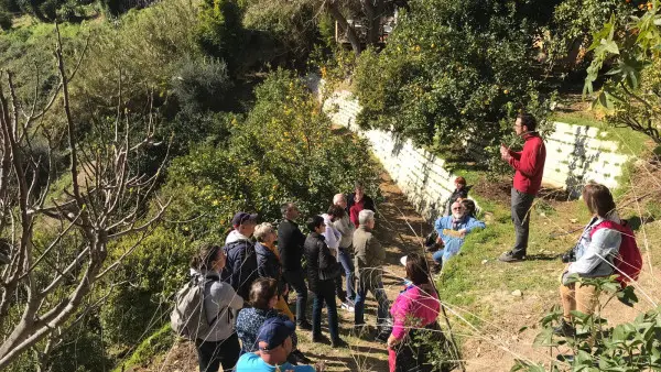 Visite guidée et dégustation au Domaine