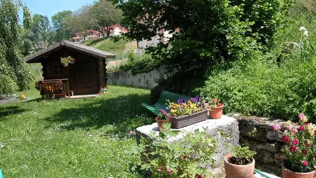 jardin