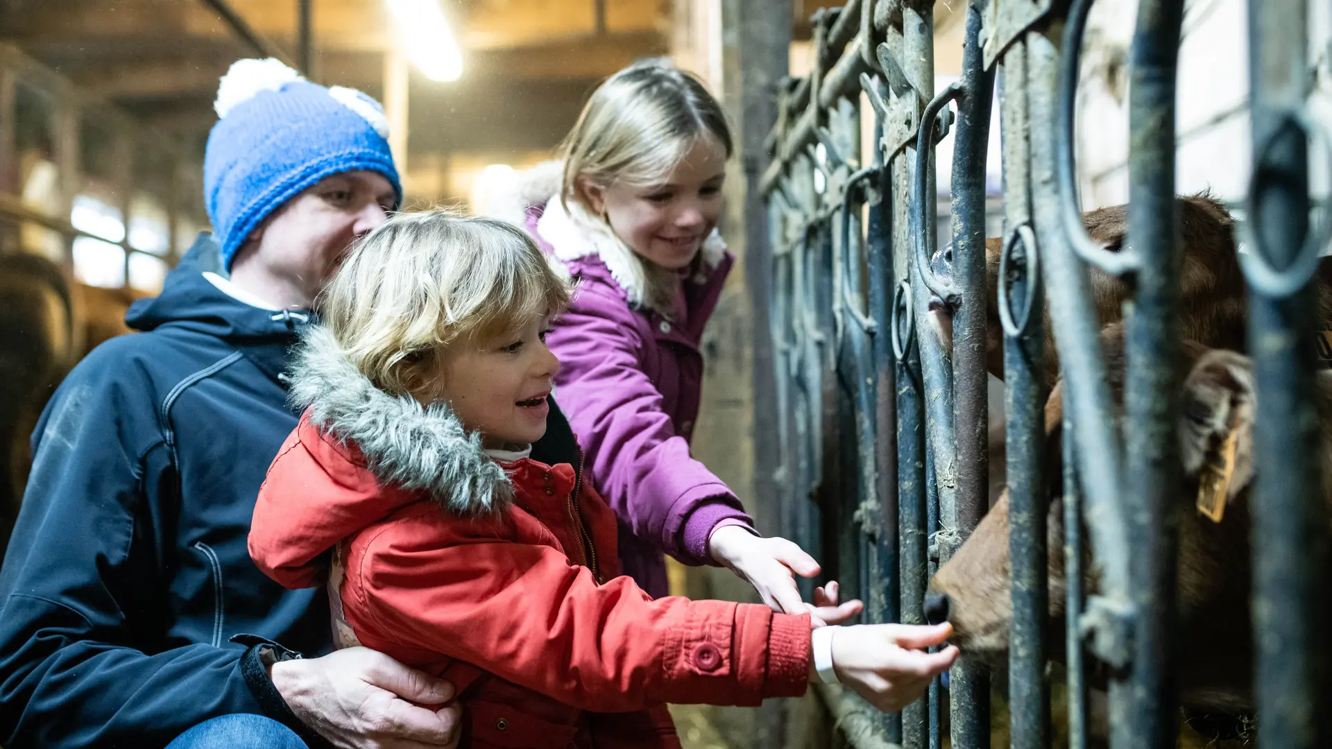 Visite de la ferme de la Correrie à Aillons-Margériaz