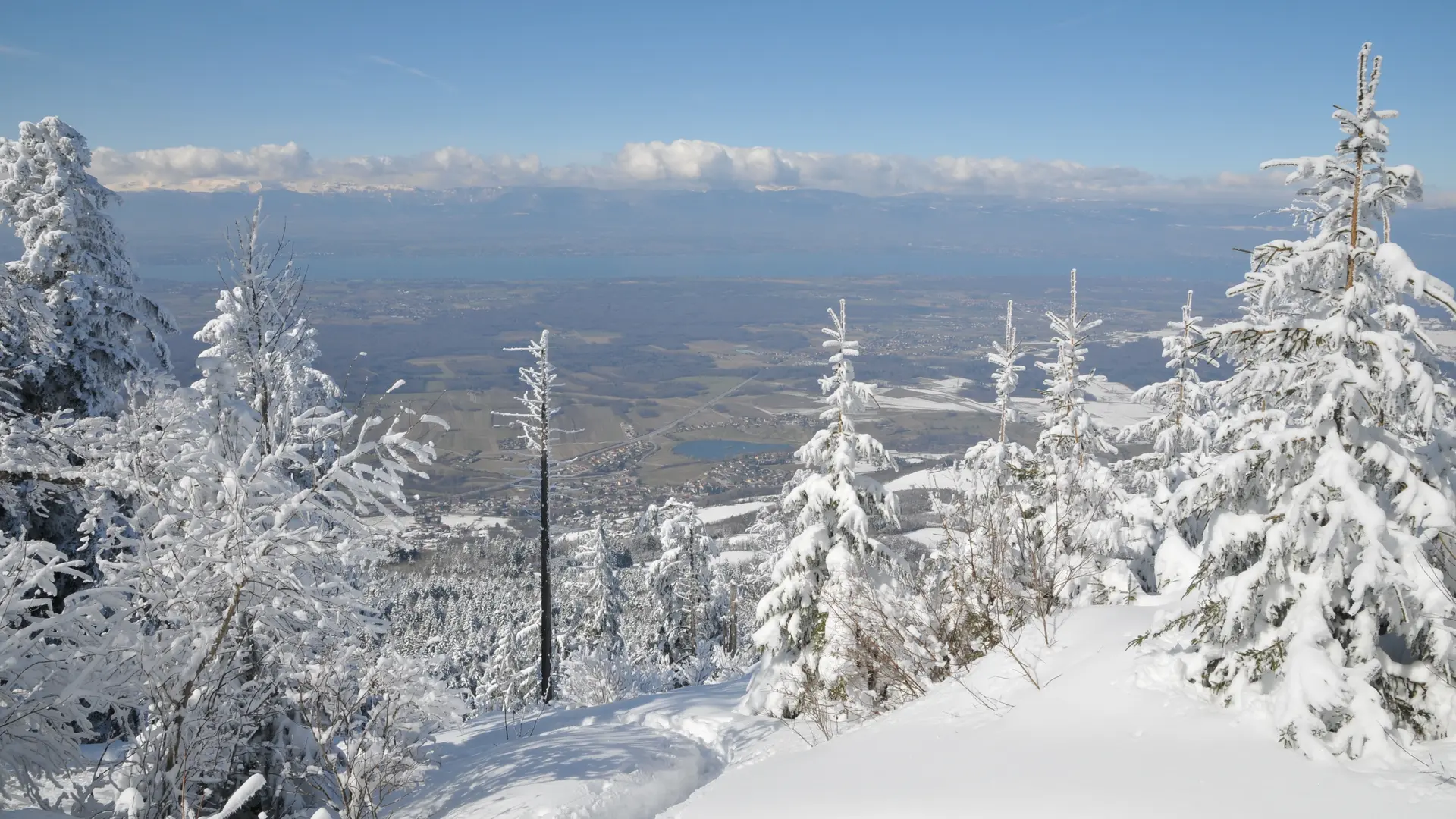 Vue sur le lac