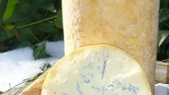 Fourme de Montbrison AOP