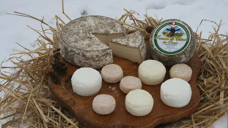 Plateau assortiment de fromages de chèvre