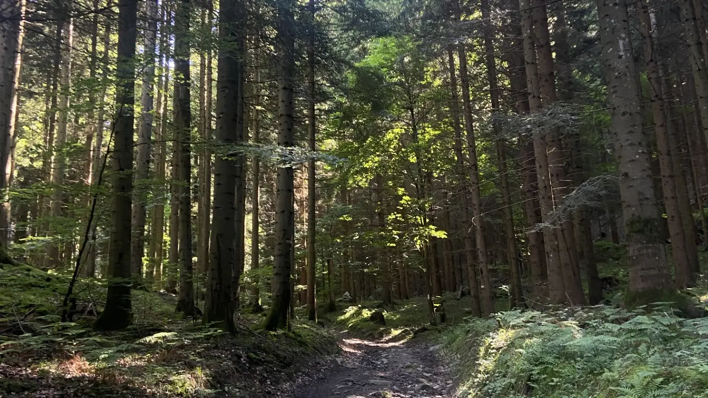 Sentier Chevran