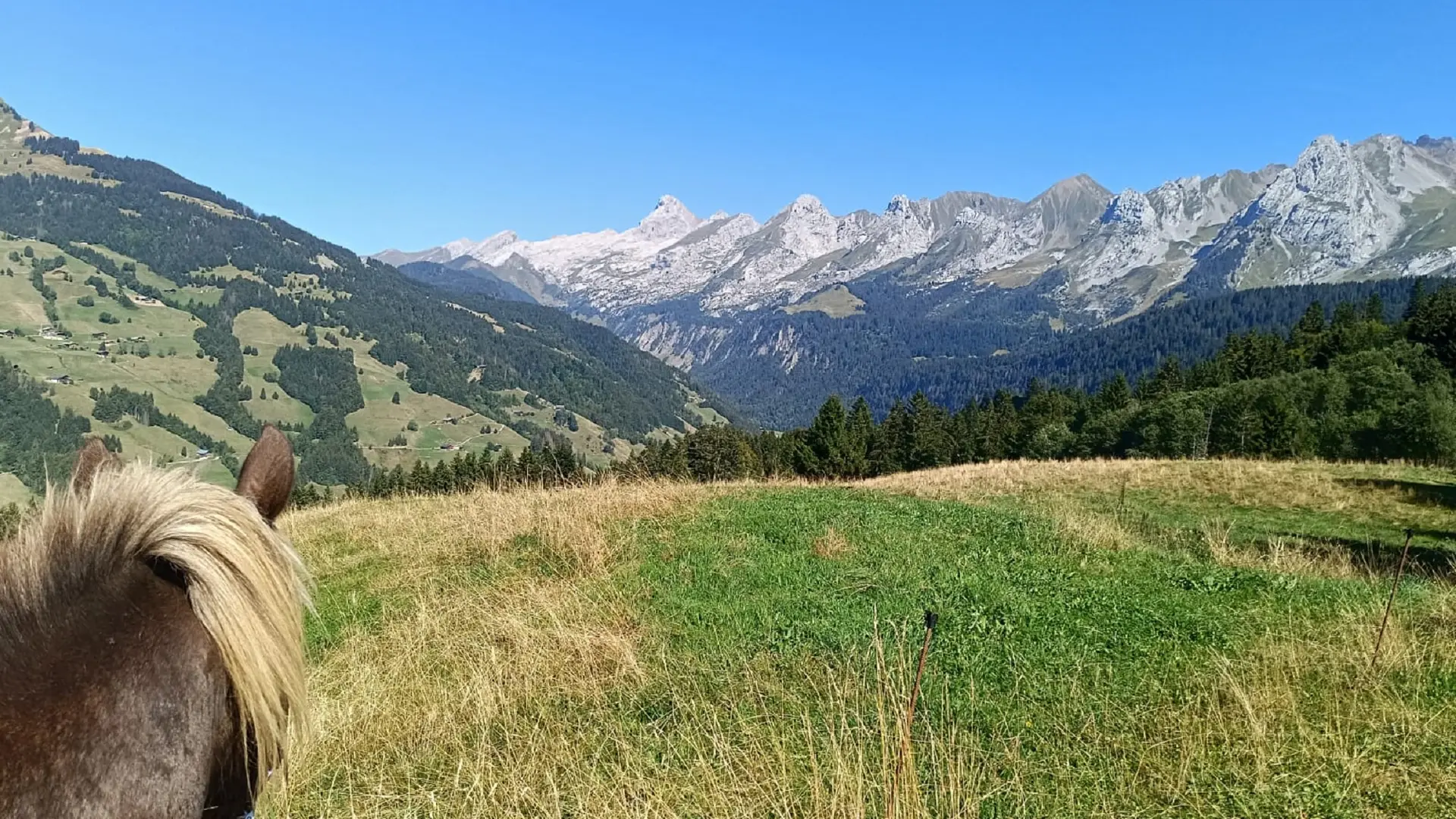 Balade à poney au Grand-Bornand
