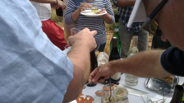 Balade dans les Lavandes en journée ou en soirée  (Eté 2025. )