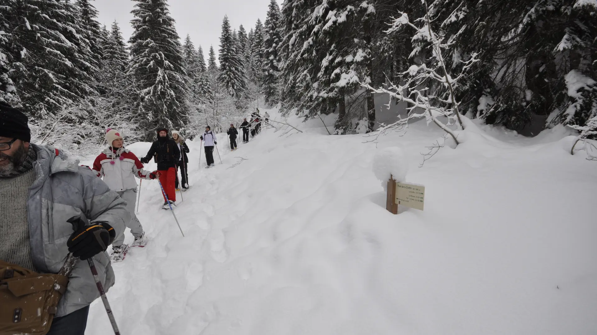 Le milieu forestier