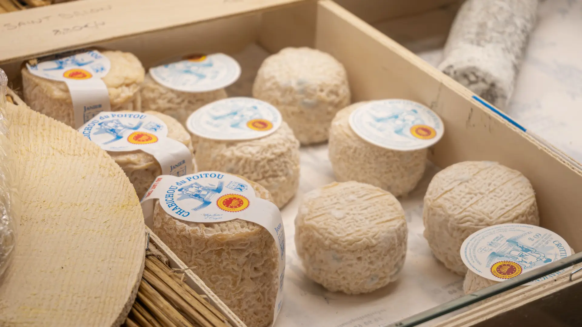 Découverte de fromages artisanaux français lors d’une dégustation à Nice.