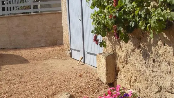 fin septembre , c'est le temps des vendanges ...