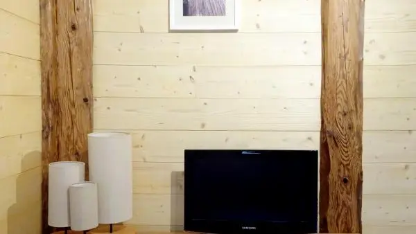 Séjour - Détail de l'espace TV