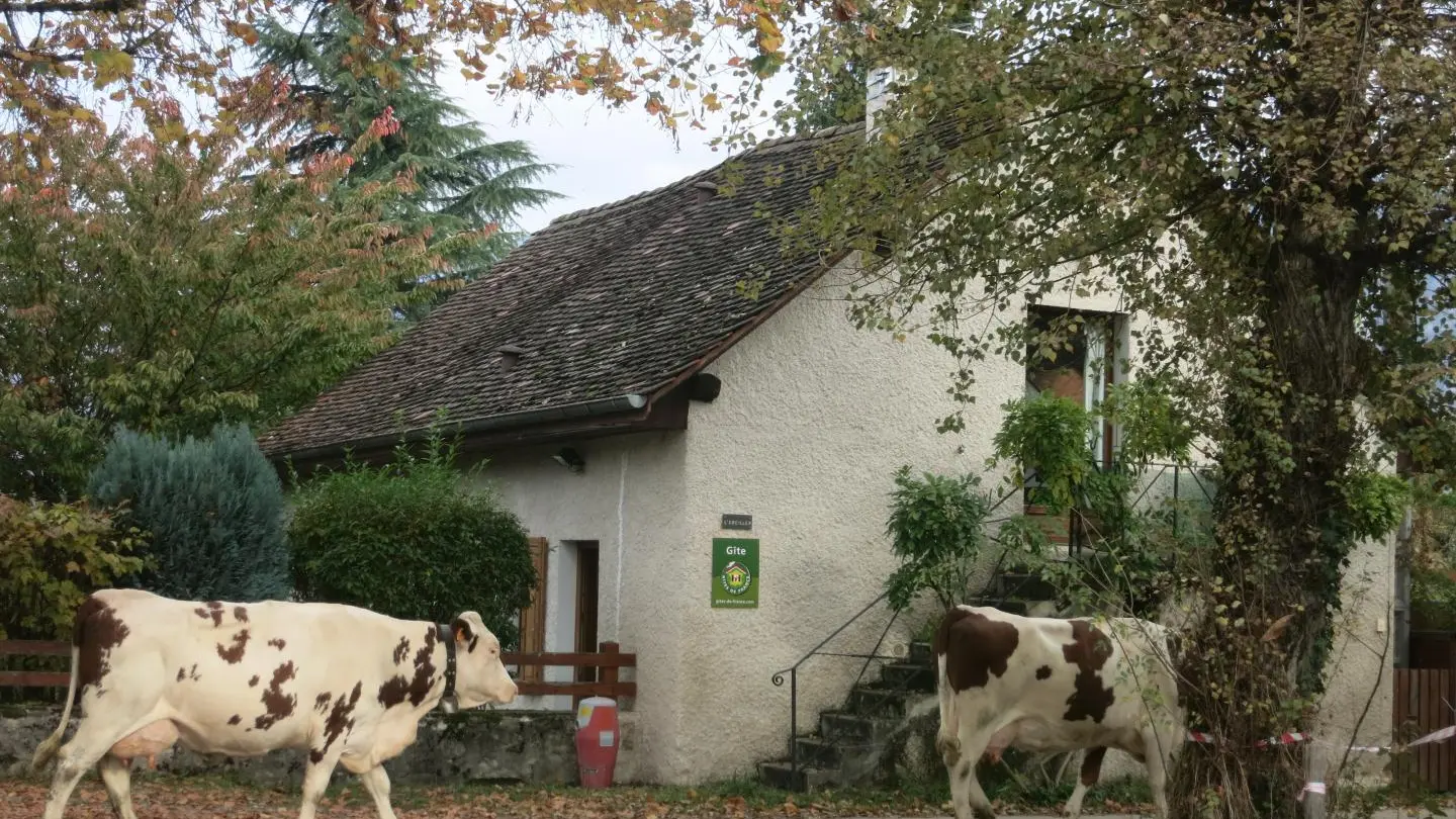 En septembre et octobre priorité au passage des vaches...