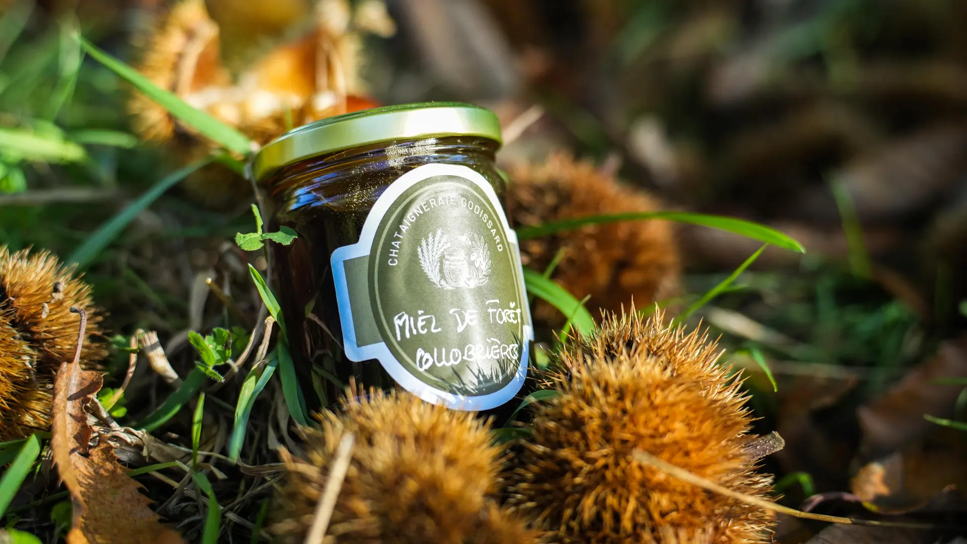 Chataigneraie Godissard à Collobrières