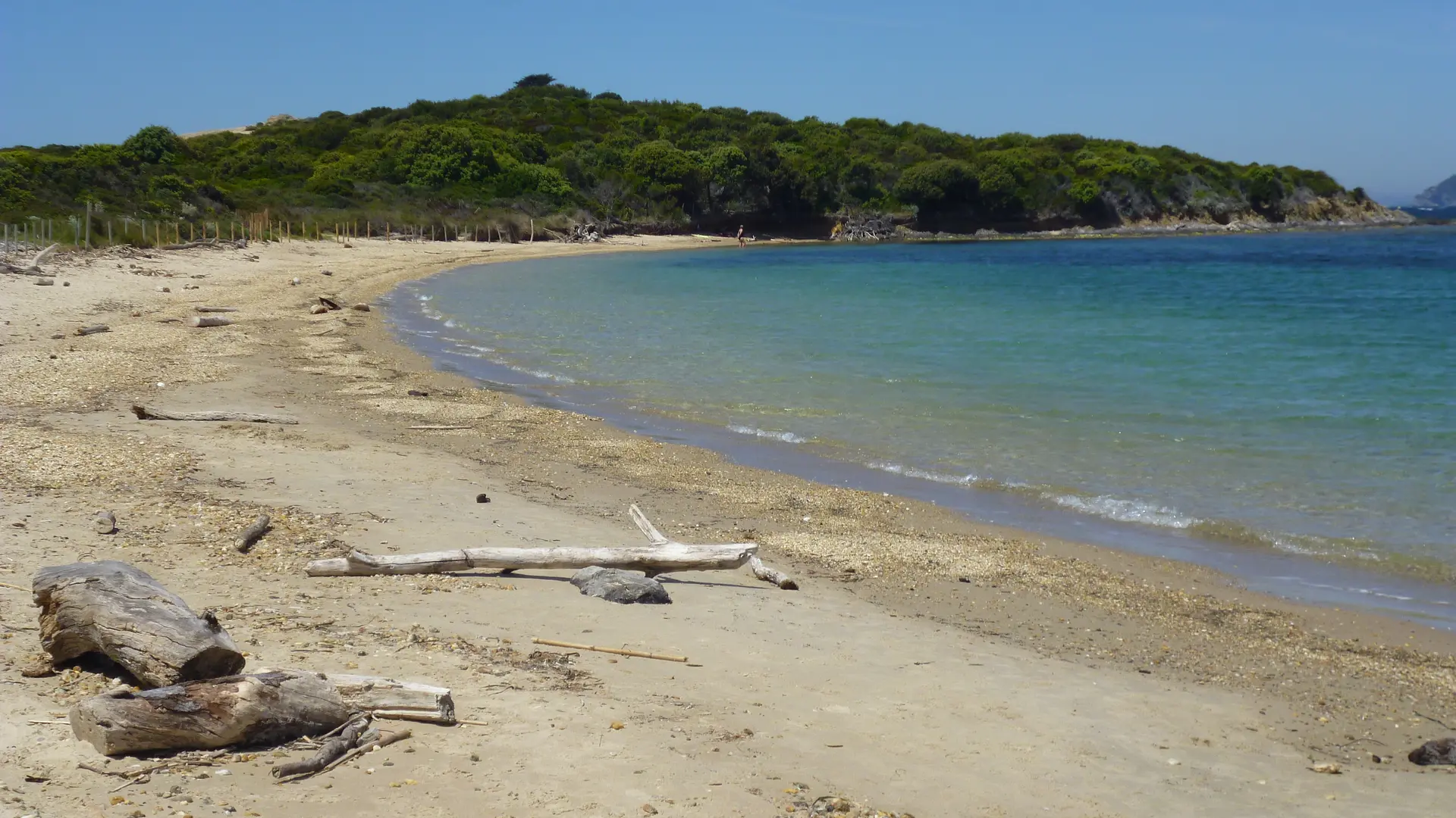 La plage du Langoustier à Porquerolles