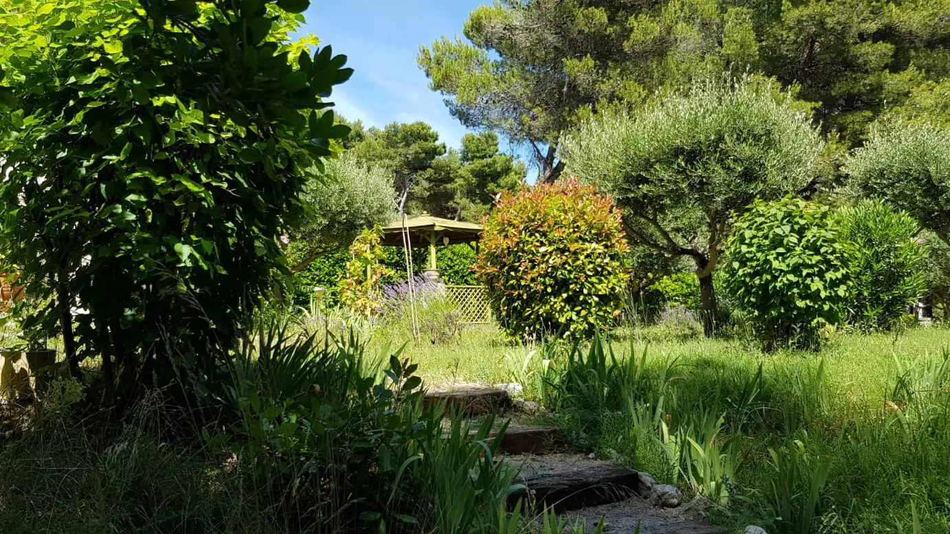 vue sur le jardin