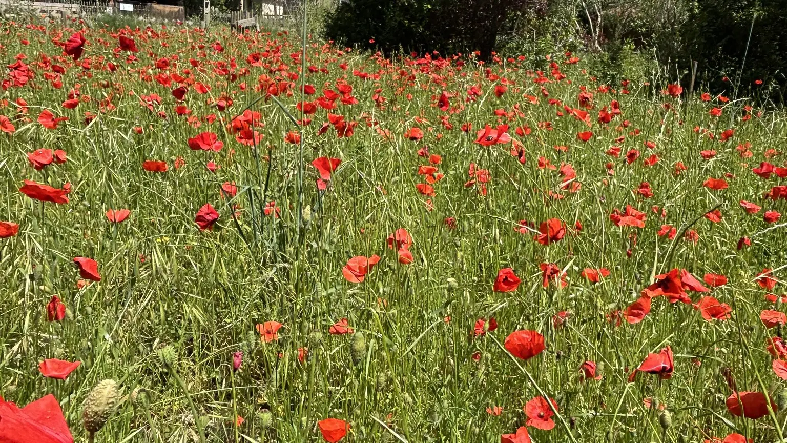 Bastide Marin_La Ciotat