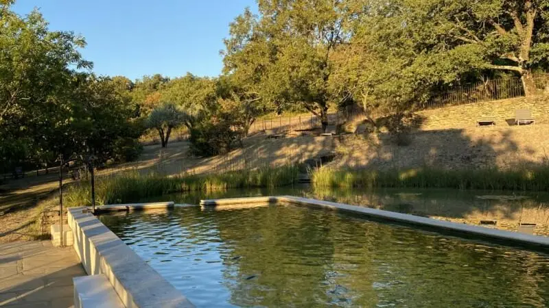 Piscine partagée écologique avec bassin naturel (12x4m)