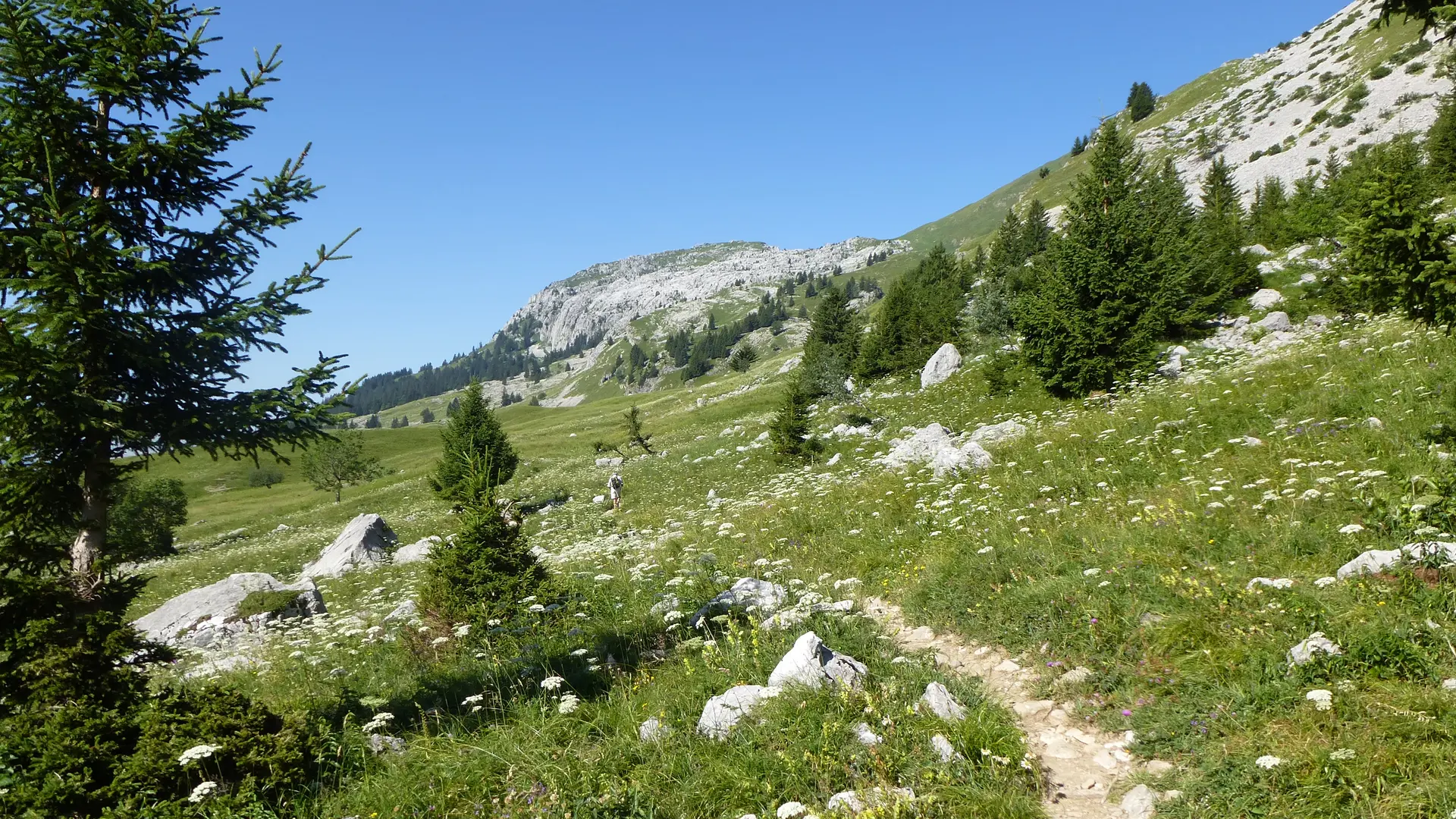 Lac de Lessy 6