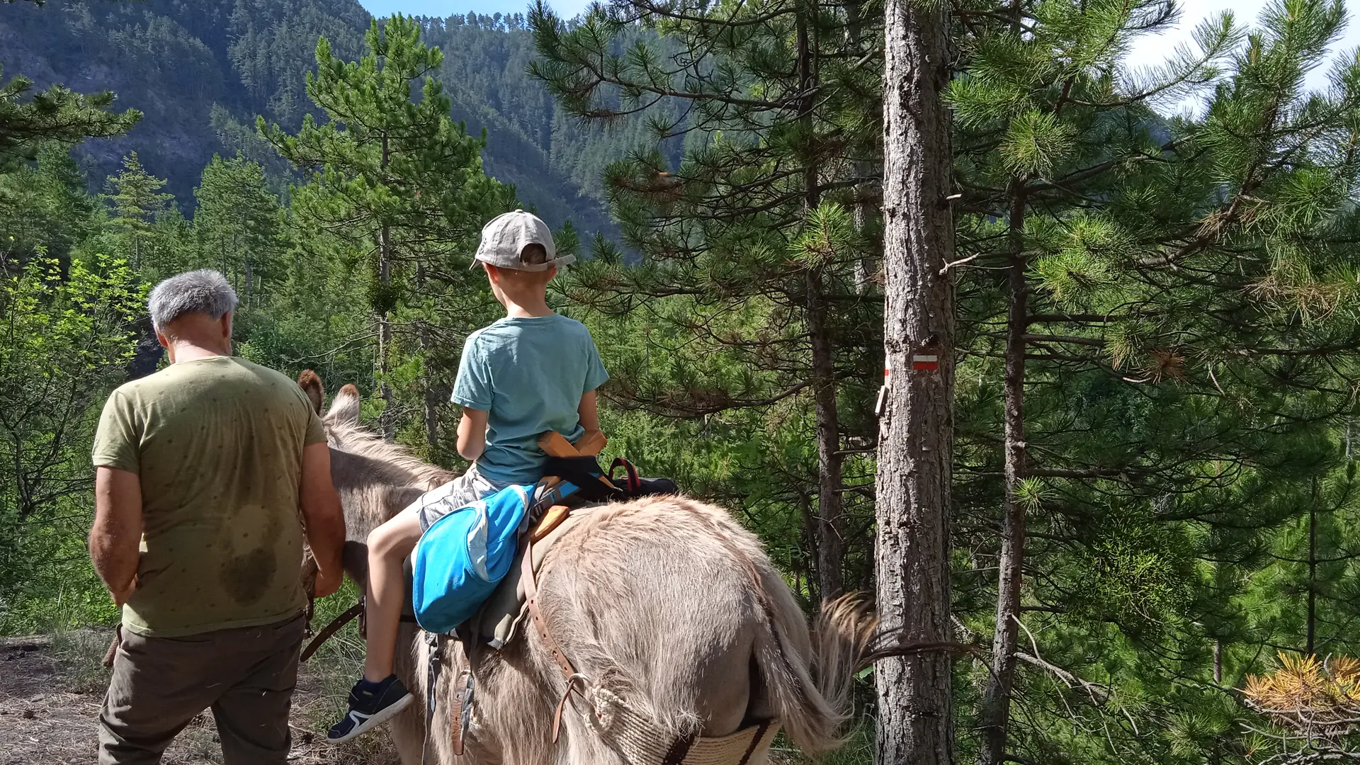 Balade avec Tis'Ânes