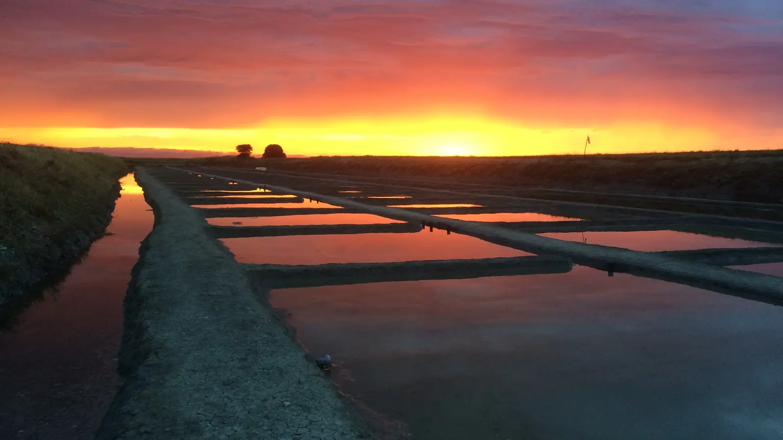 Marais salants au coucher du soleil