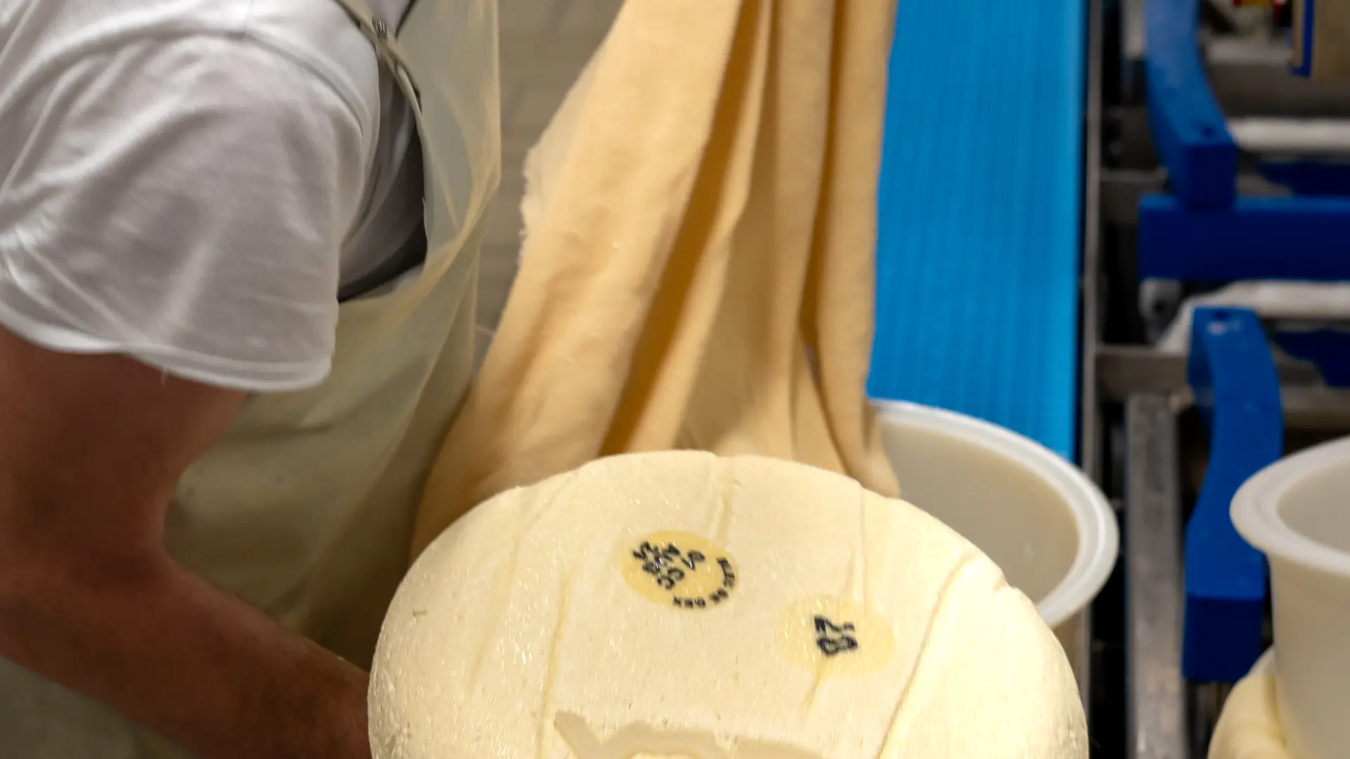 Bleu de Gex aus der Käserei Abbaye_Chézery-Forens