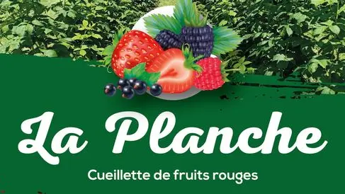 Logo La Planche