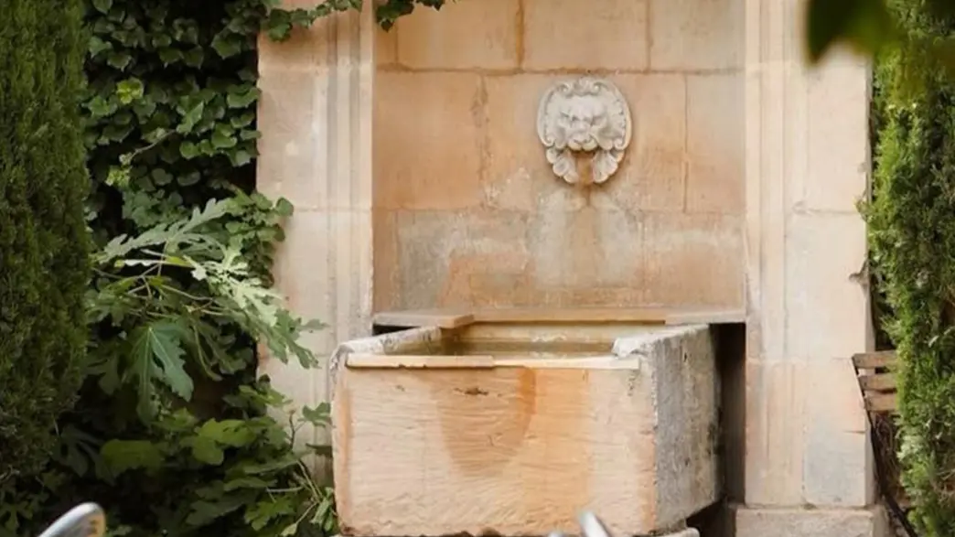 Maison Mistral, Bistrot les Pieds dans l'eau_Saint-Rémy-de-Provence